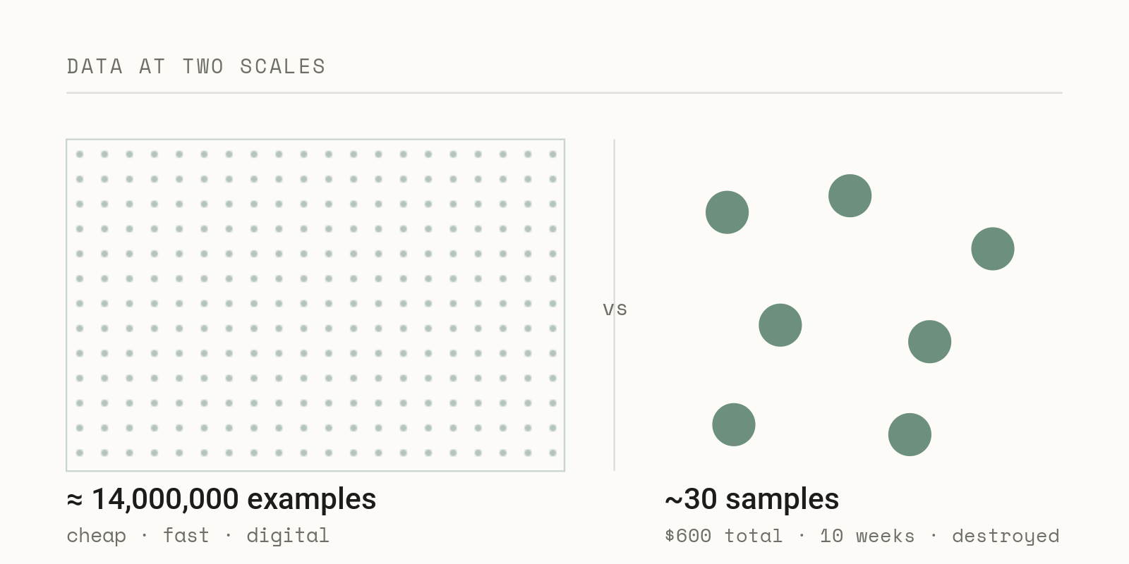Two datasets at very different scales: an ocean of cheap digital examples beside a handful of expensive, hard-won physical samples