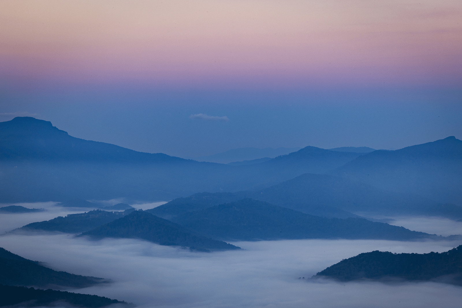 Boone, Dusk, August 2025